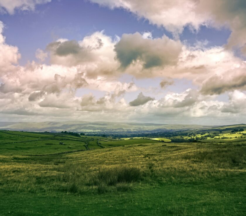 green field under sky