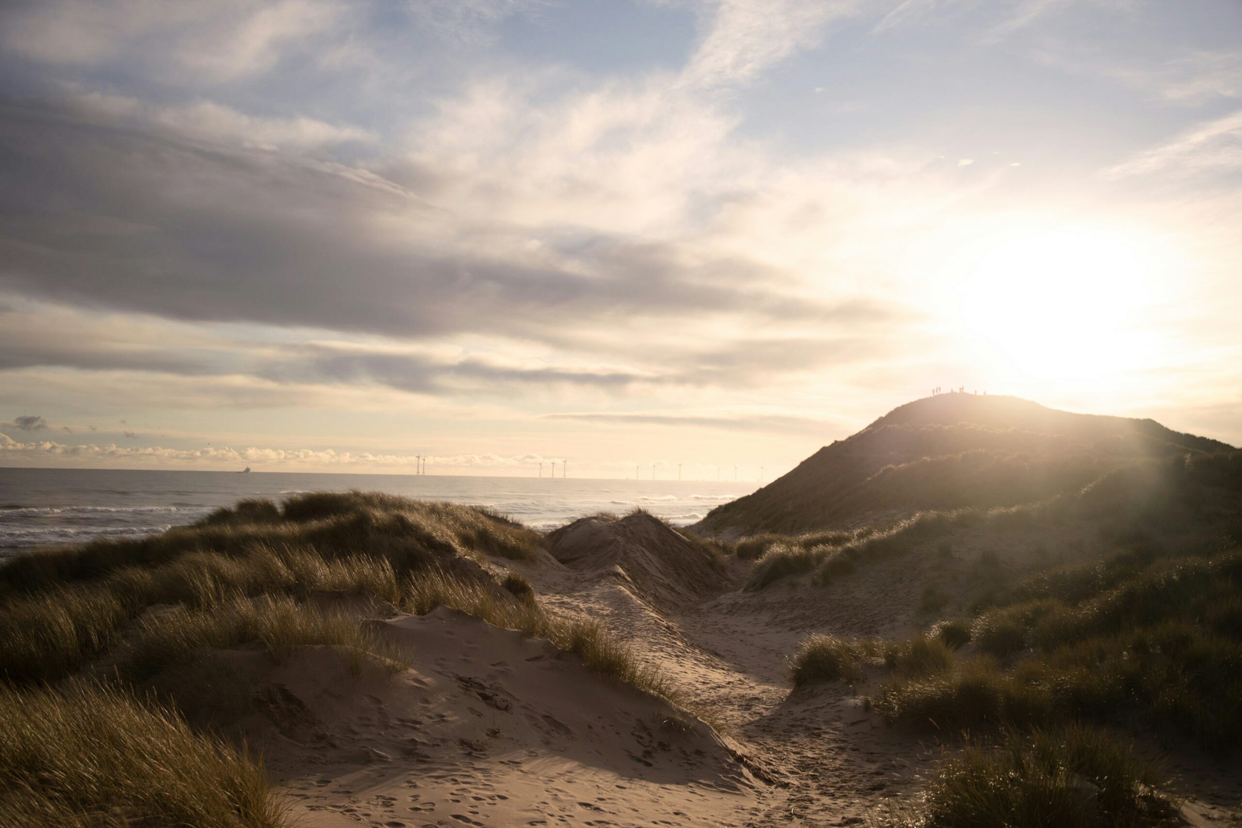 green grass on brown sand under white clouds during daytime