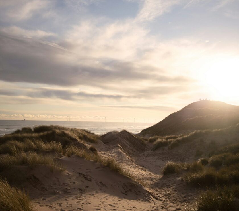 green grass on brown sand under white clouds during daytime