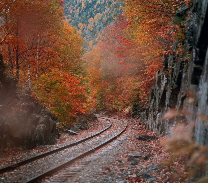 a railroad track with trees around it