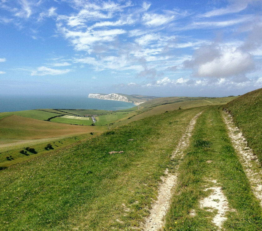 green grass field photograph