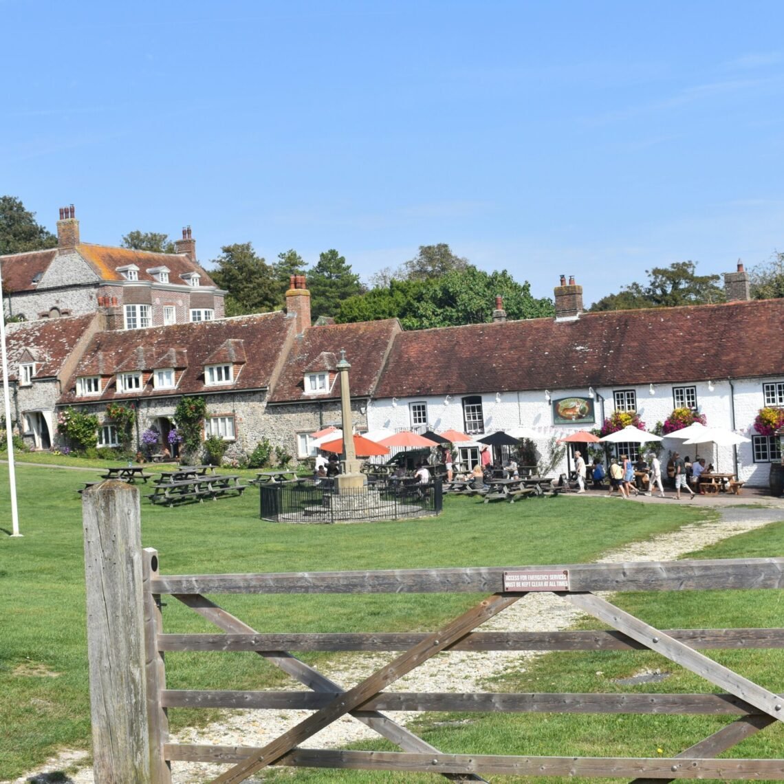 photo-1696928951031-076c7897f7e0