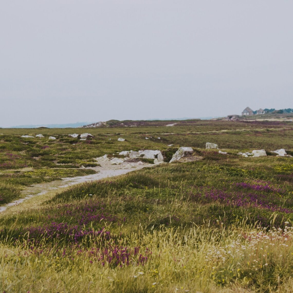 photo-1562825818-a49c5277820f