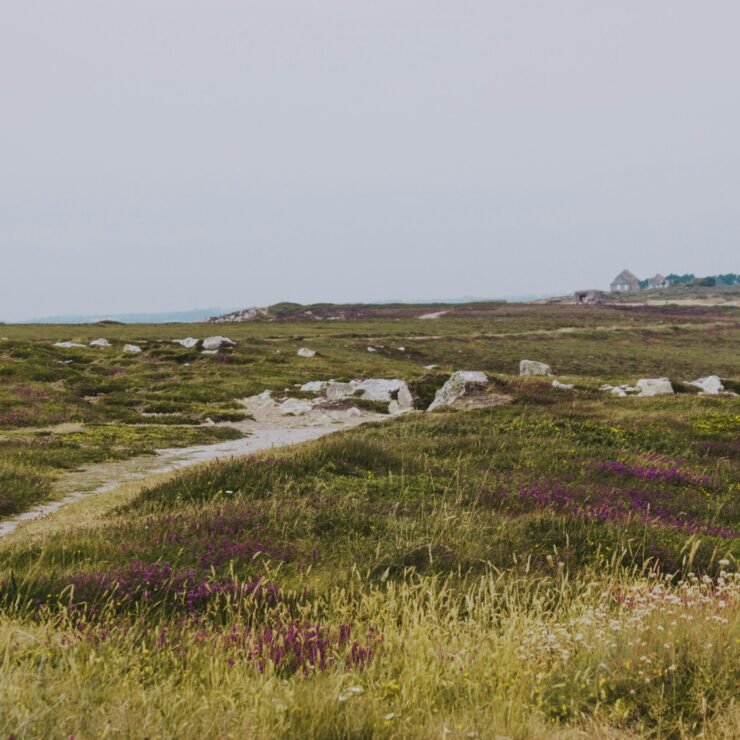 photo-1562825818-a49c5277820f