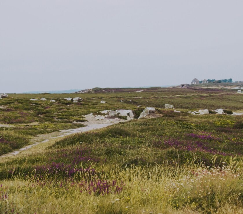 photo-1562825818-a49c5277820f