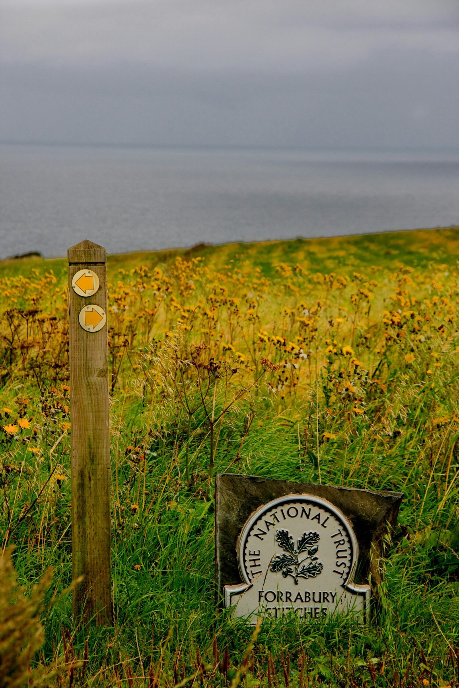 photo-1604487148527-5260917d50a7