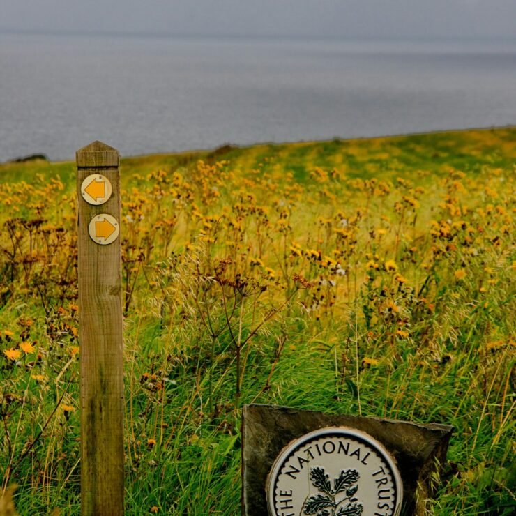 photo-1604487148527-5260917d50a7