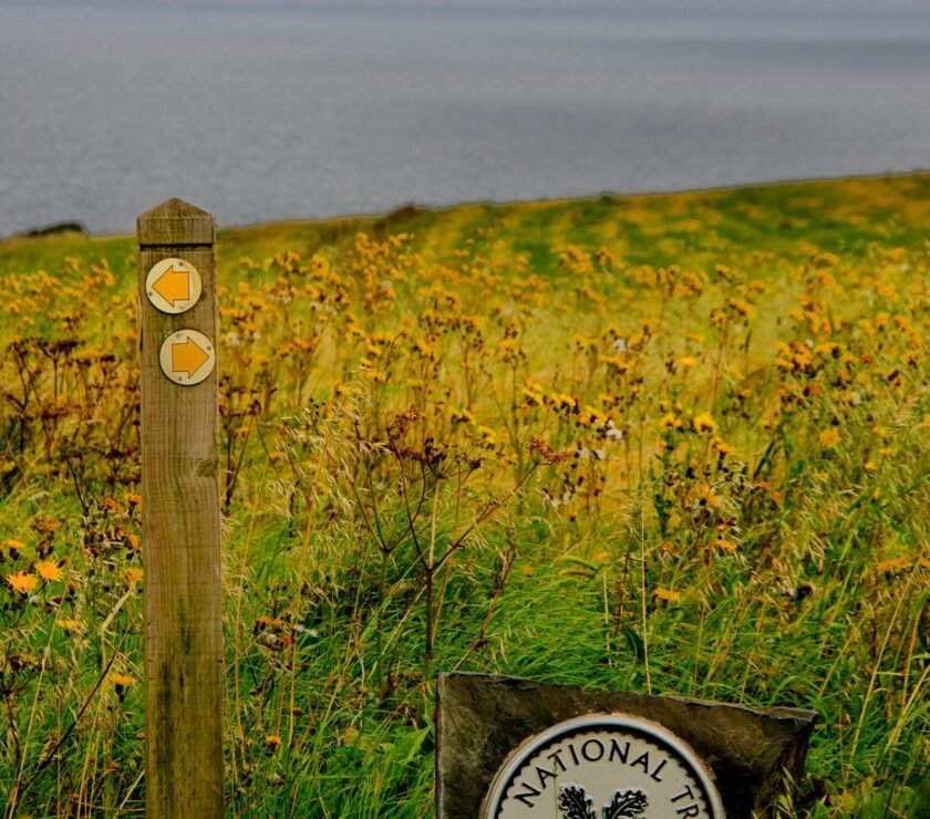 photo-1604487148527-5260917d50a7